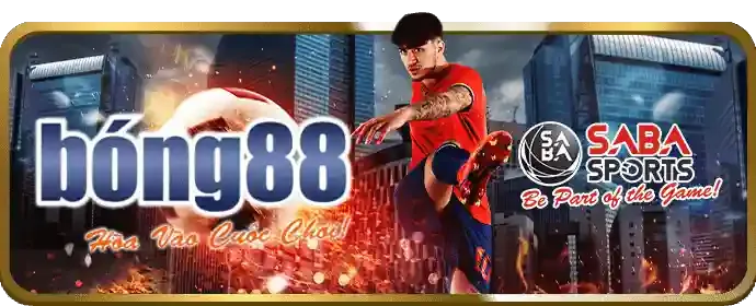 Theo dõi trận đấu trực tiếp dt88.com
